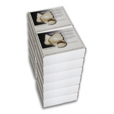 Lake Tanganyika shells, lot of 12 packets