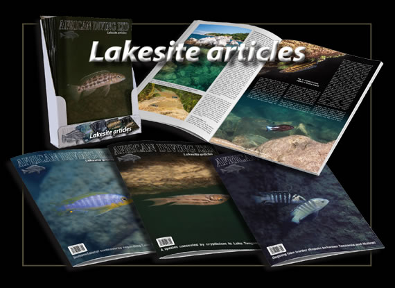 Lakesite articles
